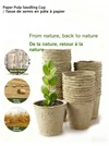 Nursery Pots and Trays: plant container for herbs and flowers