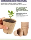 Nursery Pots and Trays: doggiestone nursery pot collection canada