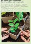 Nursery Pots and Trays: professional nursery tray seed starting