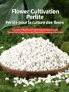 Expanded Perlite (hydrophobic & hydrophilic): perlite