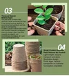 Nursery Pots and Trays