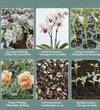 Expanded Vermiculite (Hydrophobic & Hydrophilic): vermiculite app