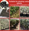 Horticulture Tools: eco friendly plant pots and seedling trays