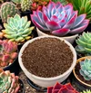 Expanded Vermiculite (Hydrophobic & Hydrophilic): vermiculite