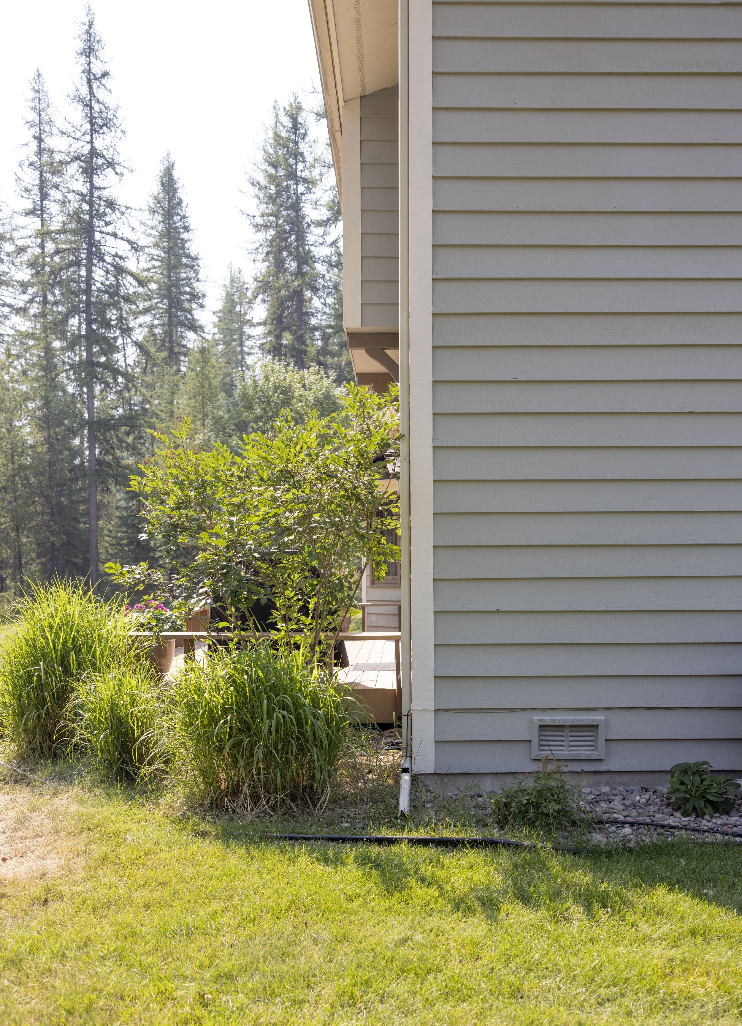 Experienced painter near me