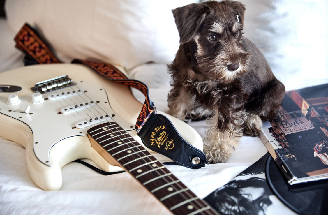 30th Year Reunion Ticket