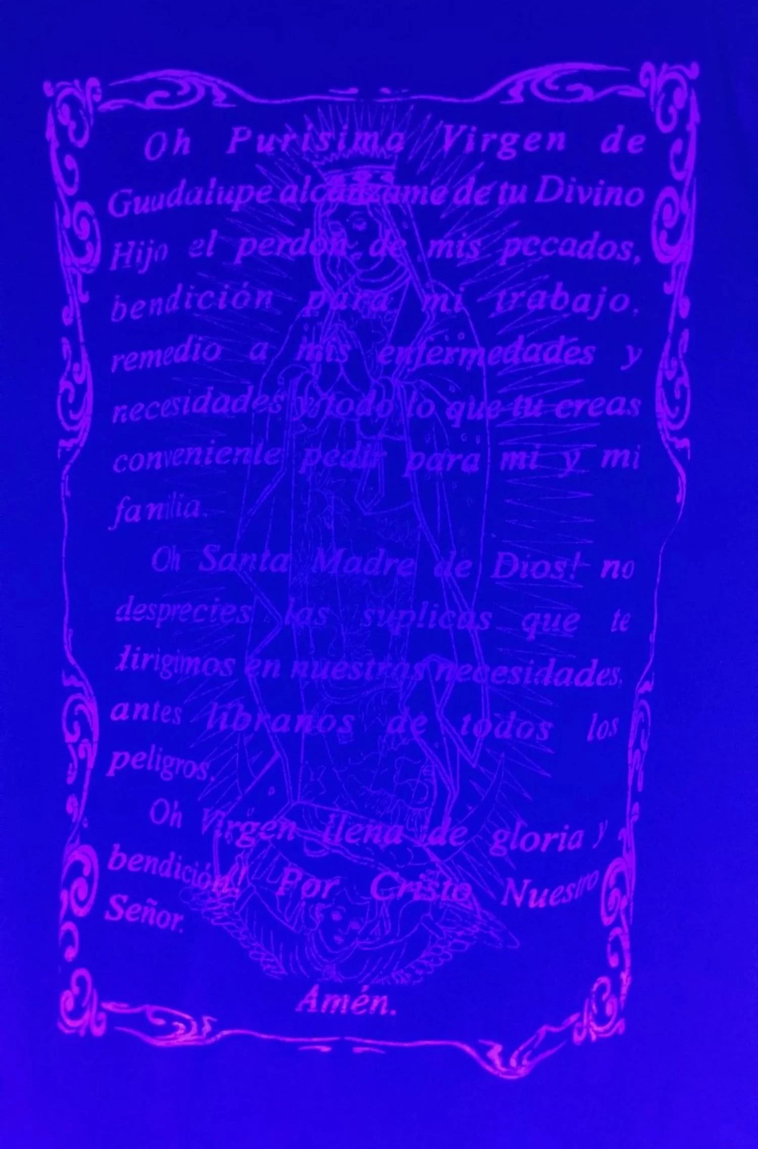 20251212_172444.jpg