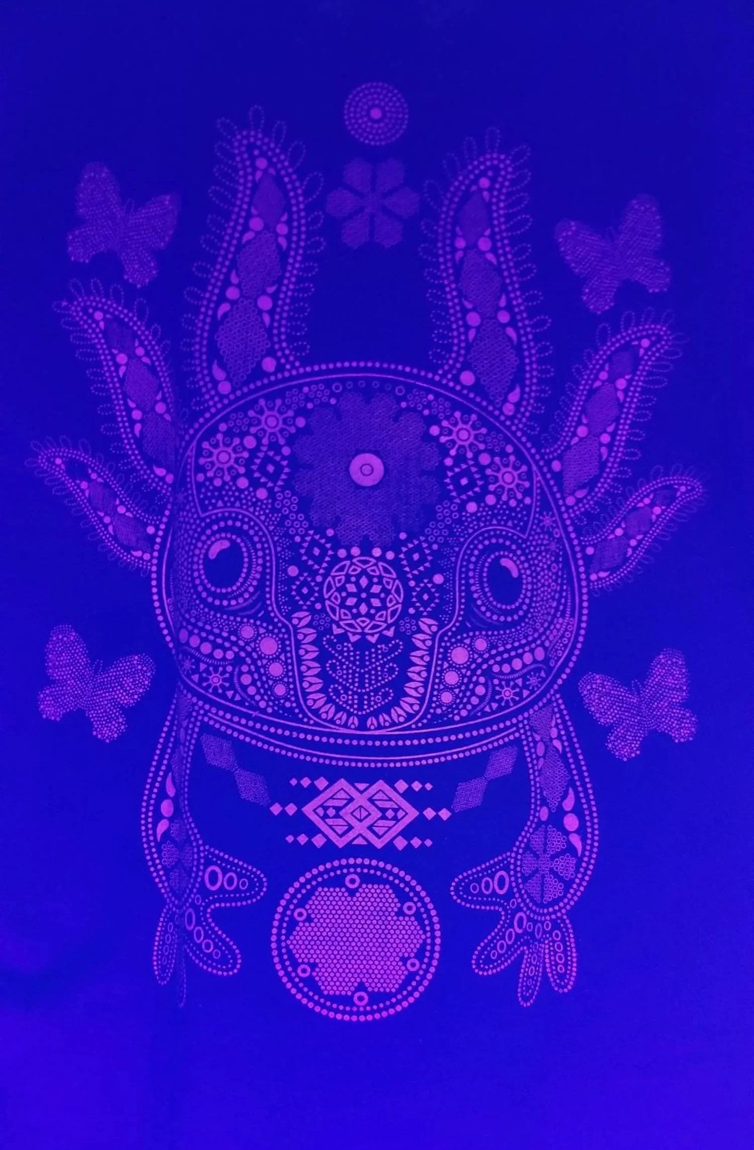 20251212_155531.jpg