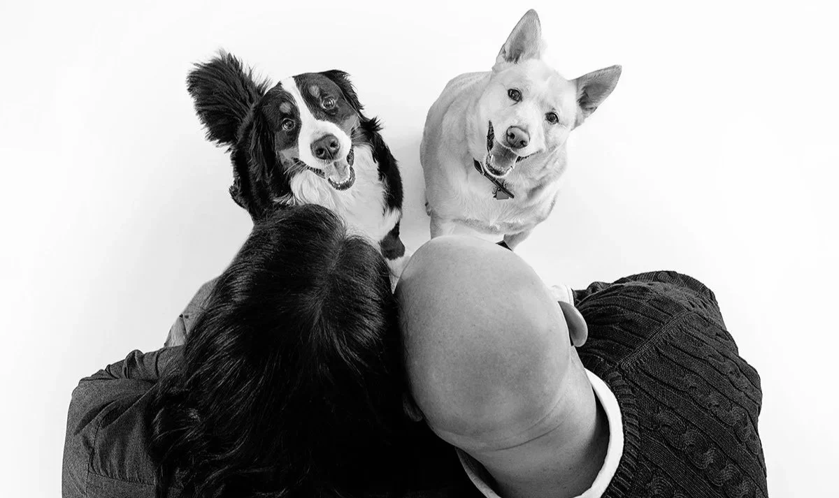 A person with dark hair looking down at two dogs, one with black and white fur and the other with white fur, both looking up and smiling, against a white background.
