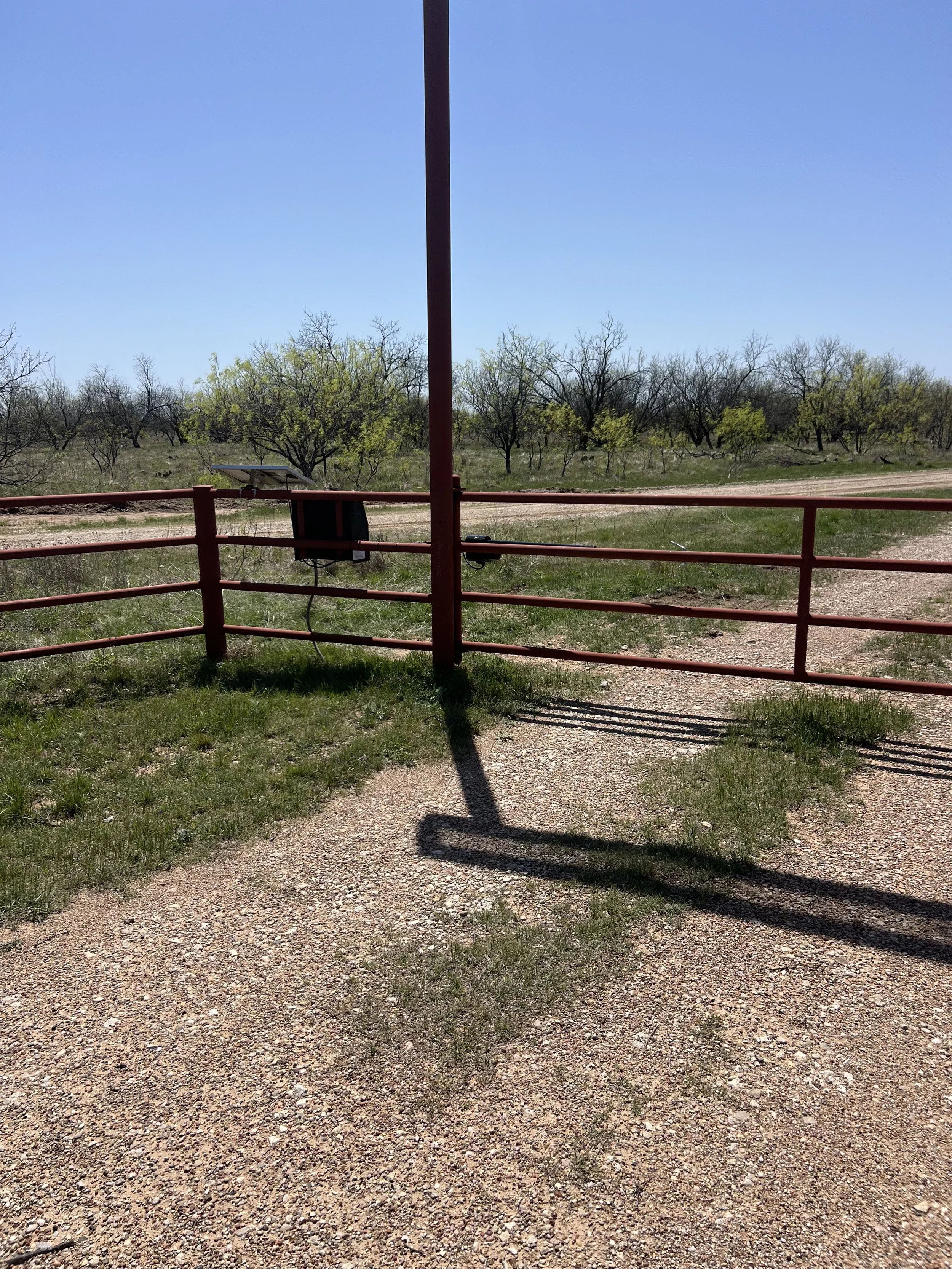 Red metal gate with a shadow cast on gravel and grass, open field with trees and a clear blue sky in the background.