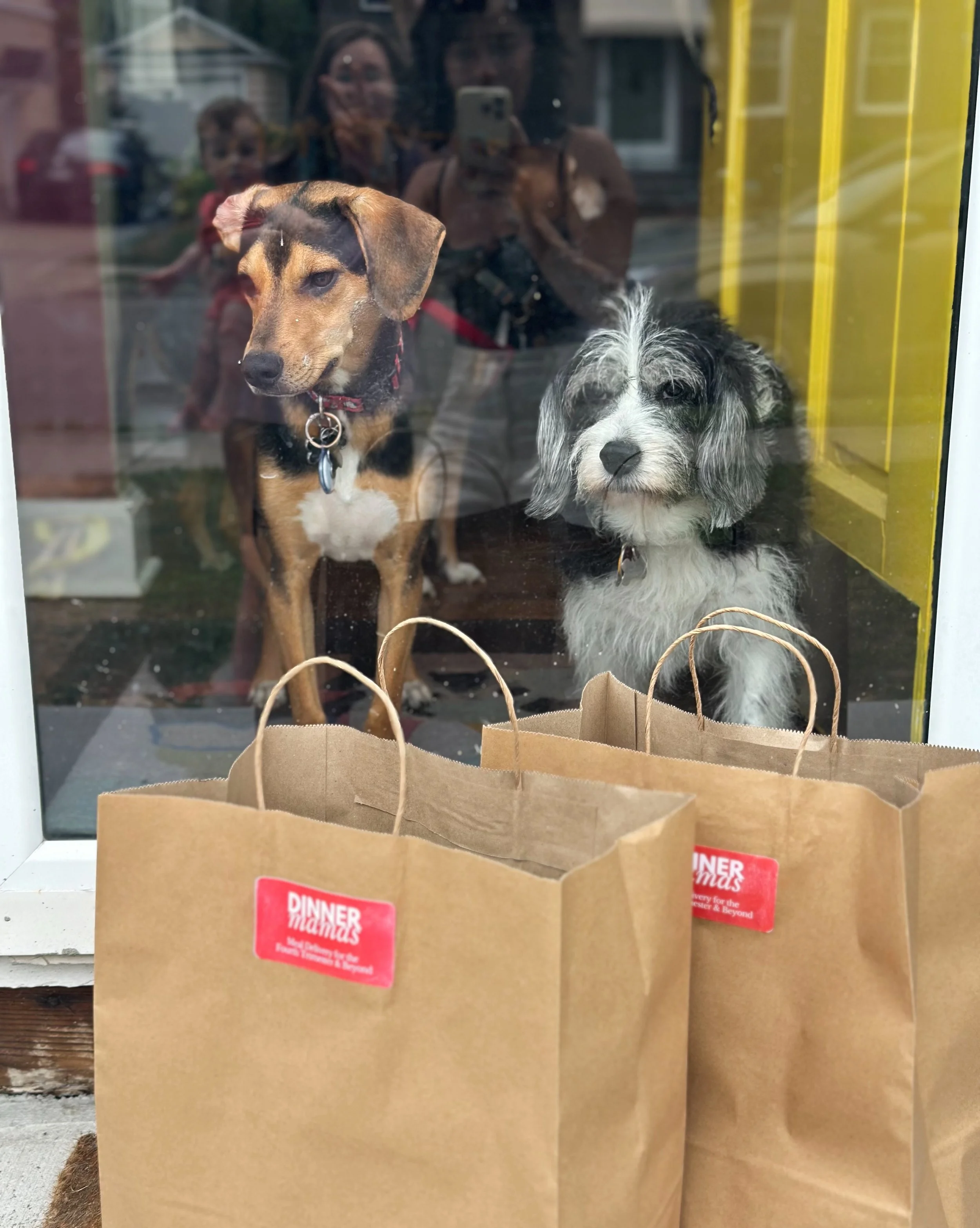 FullSizeRender_VSCO (3).JPG