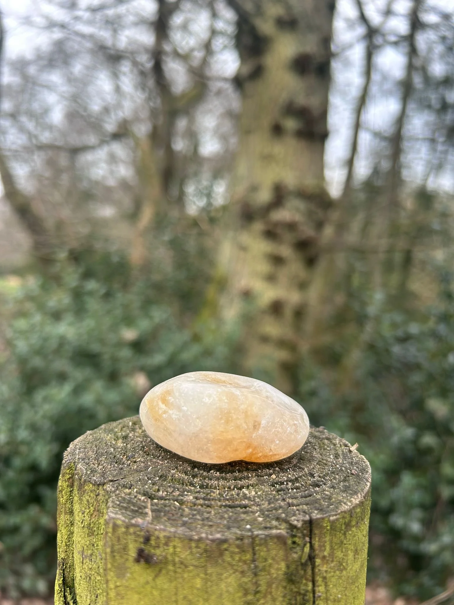Citrine Polished Tumblestone Healing Crystals