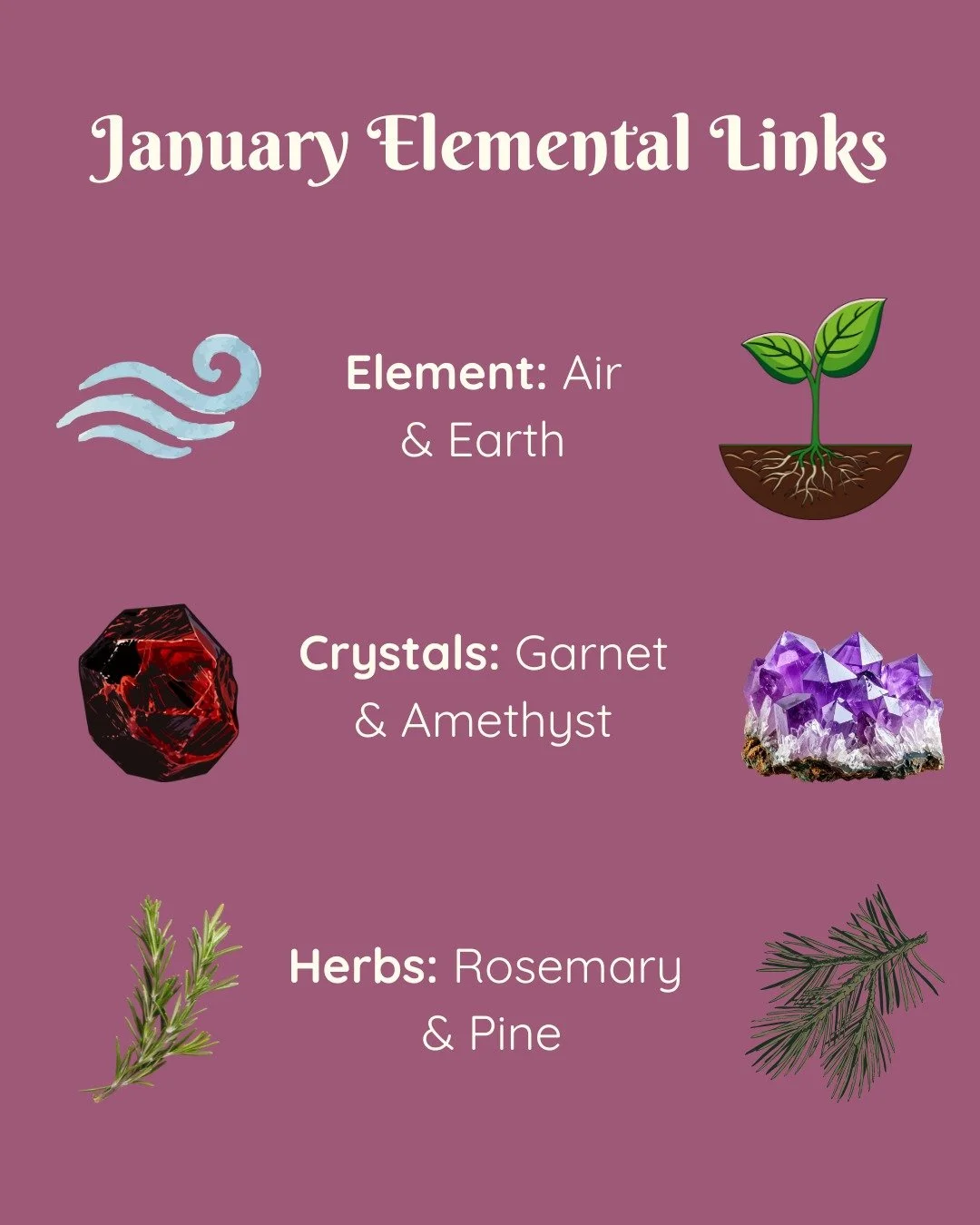 New year. New magic. 🌒🔮

January whispers in Air &amp; Earth, 
🌿Rosemary clears your mind, Pine protects your path,
Garnet is grounding and fuels courage. Amethyst removes negative energy. 🌙💫

Align with the magic of the month. 🔮🖤

#ElementalL