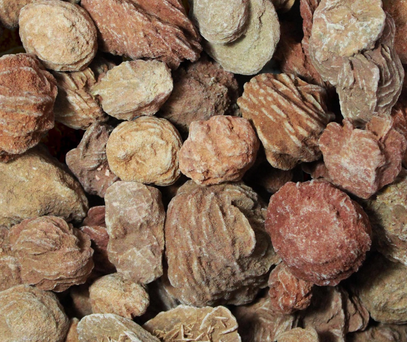 Desert Rose Bundle.png