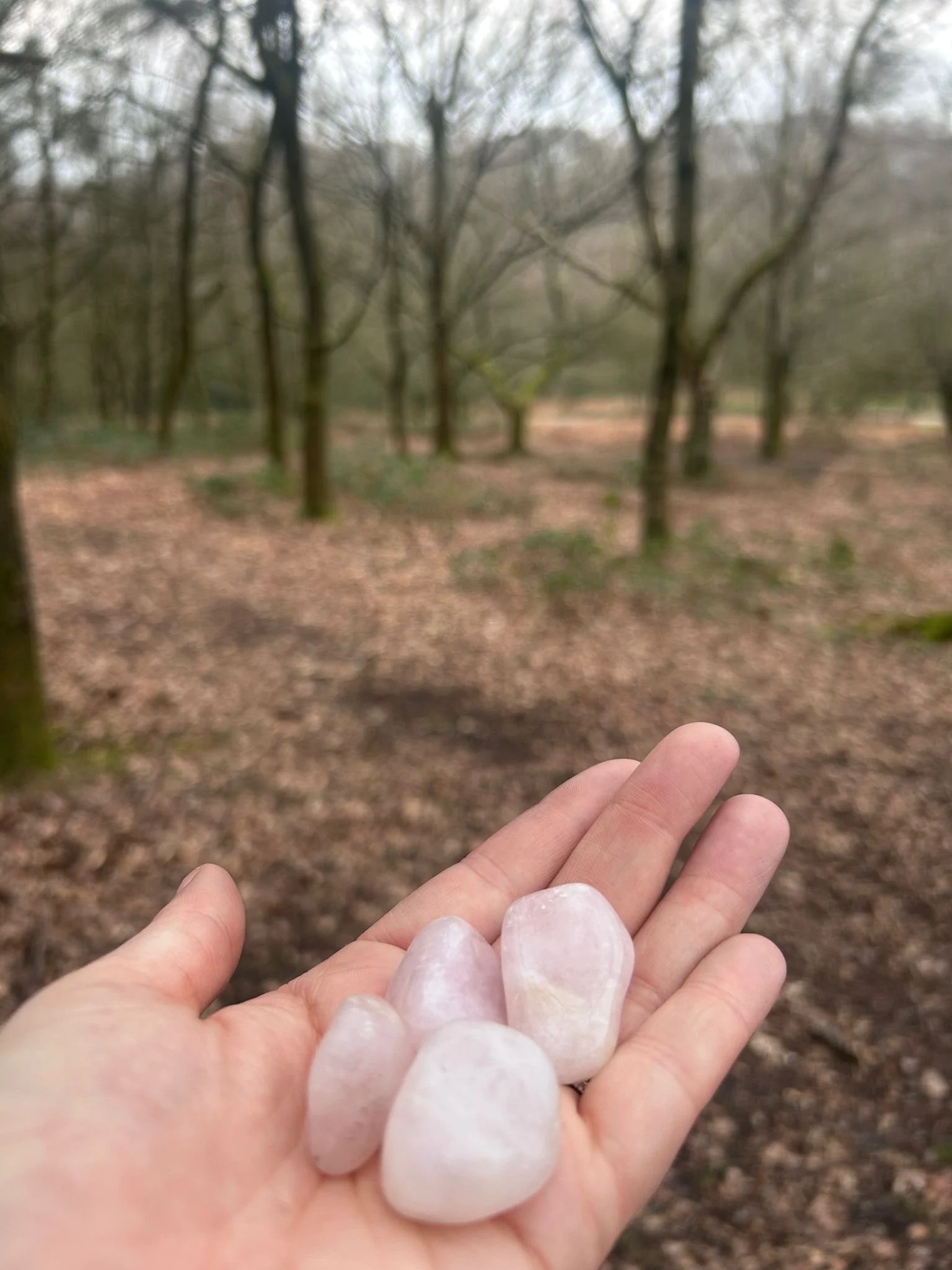 Rose Quartz Hand.jpeg