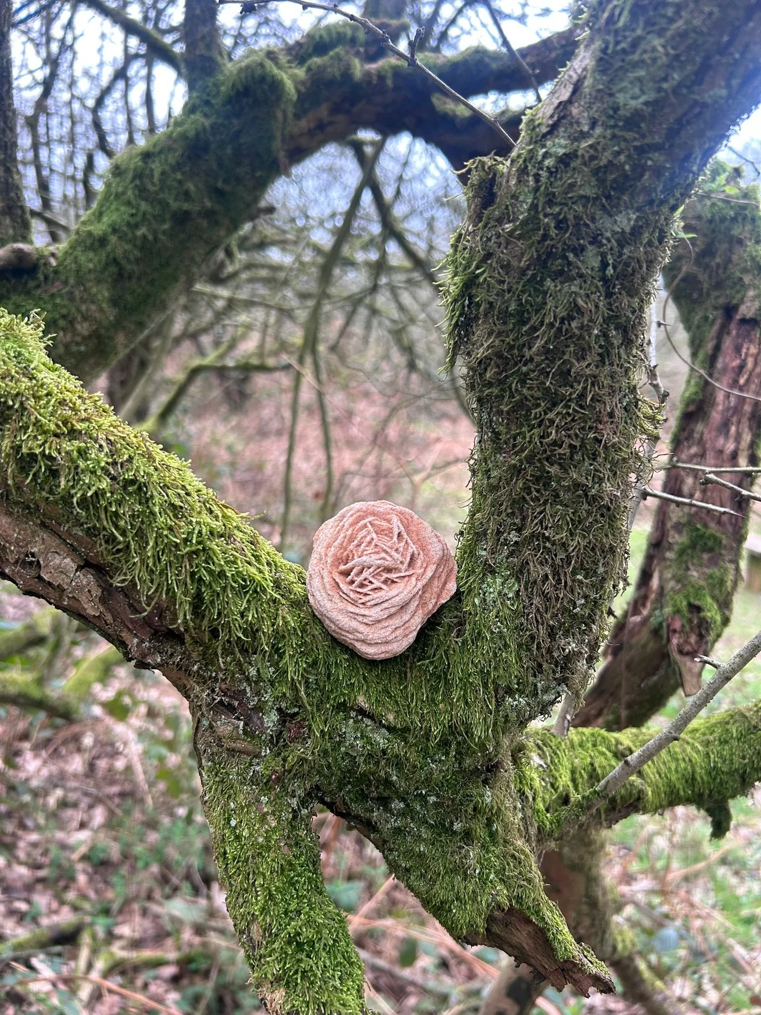 Desert Rose Rough Healing Crystal