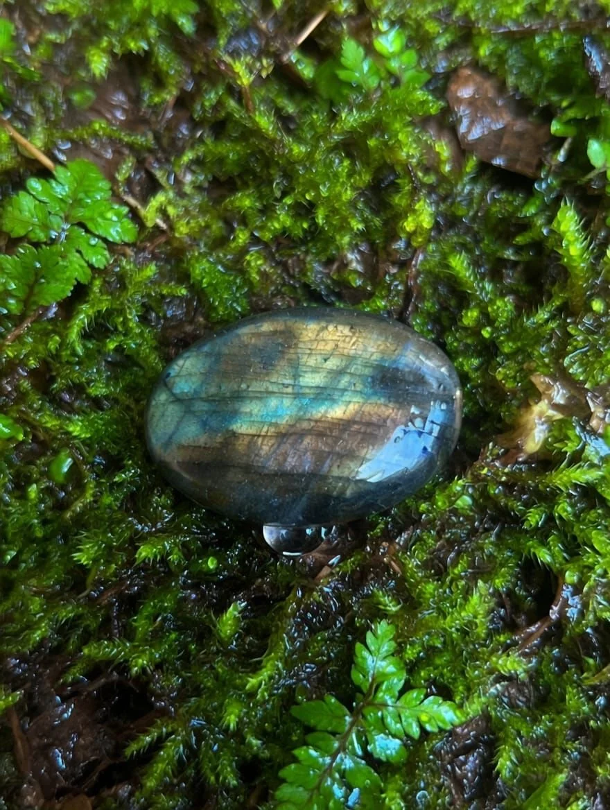 Labradorite Tumblestone on Moss.jpeg