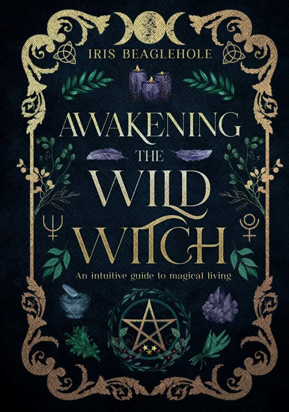 Awakening The Wild Witch - Hardback