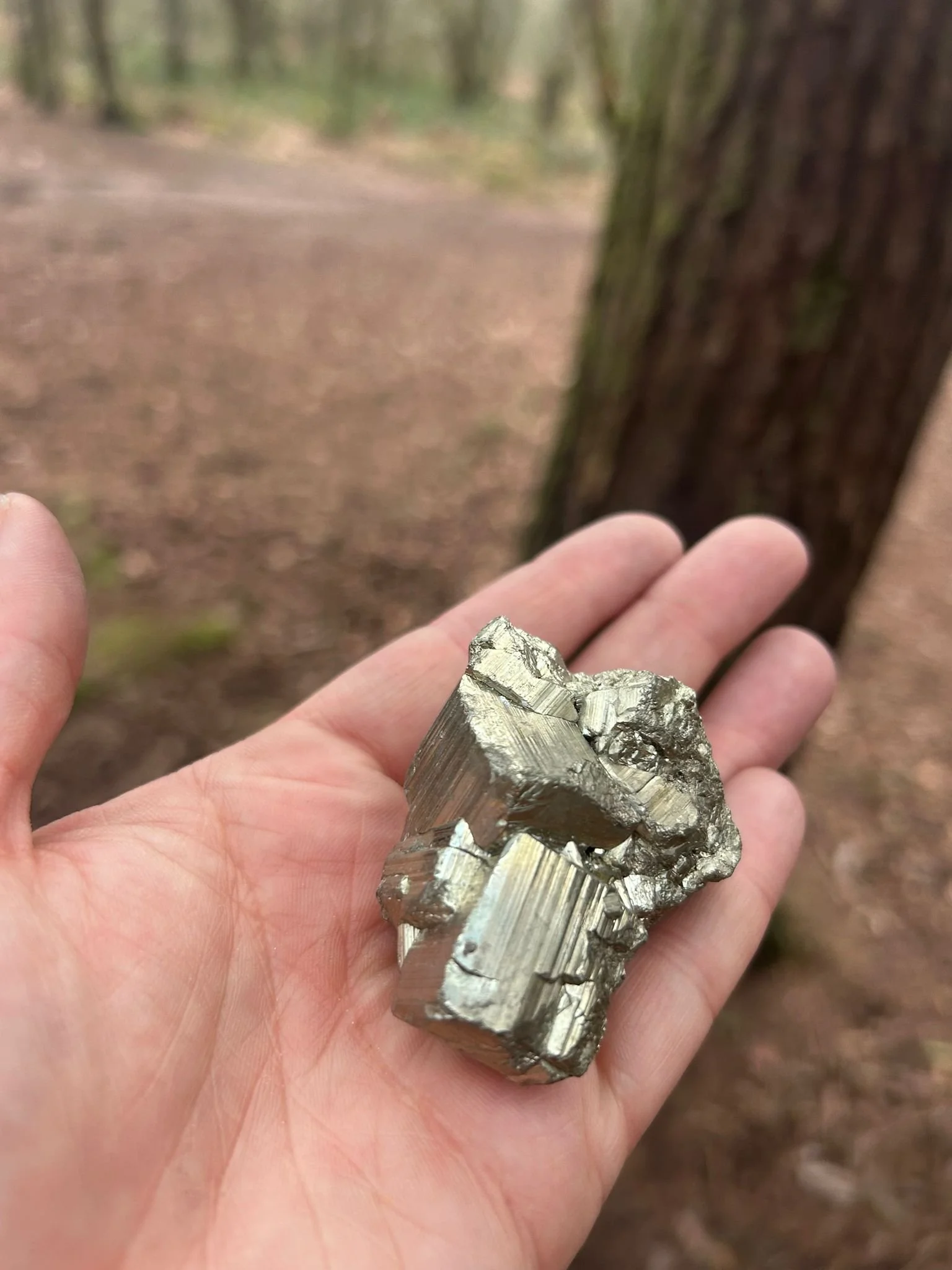 Pyrite Hand.jpeg