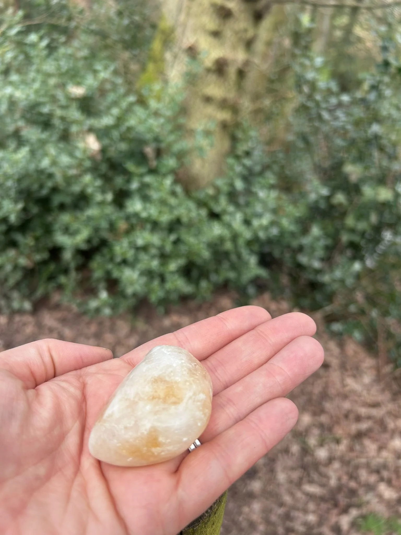 Citrine ONe hand.jpeg