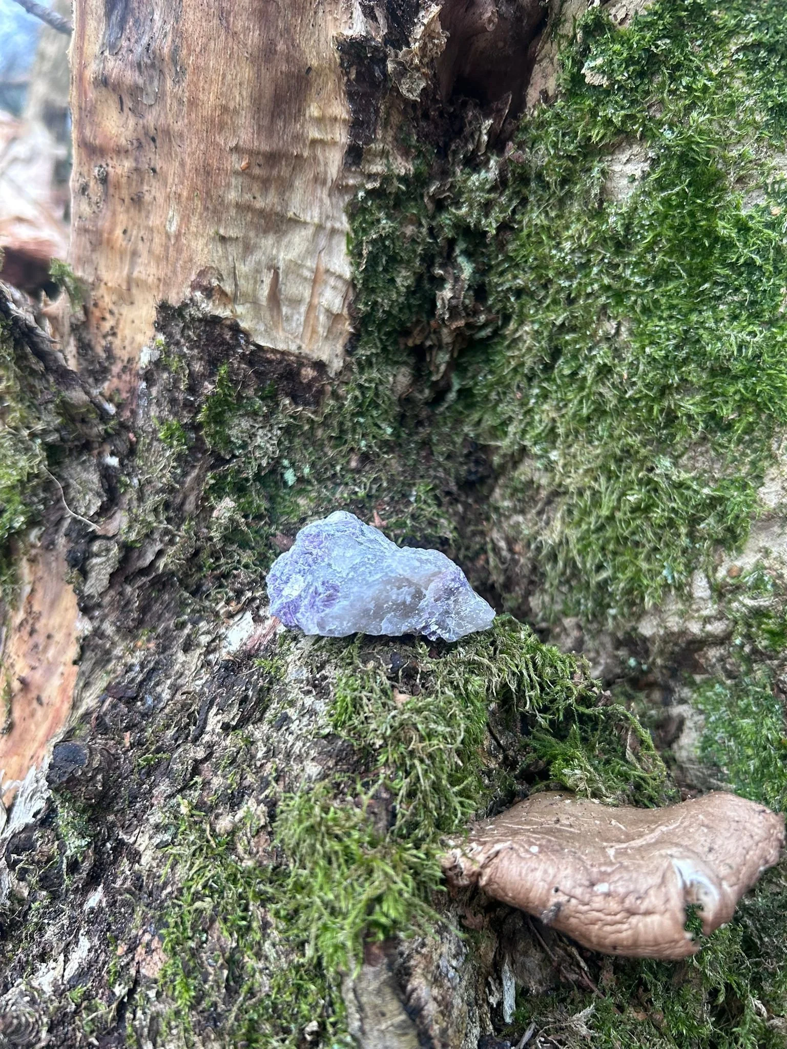 Lepidolite Rough Healing Crystal