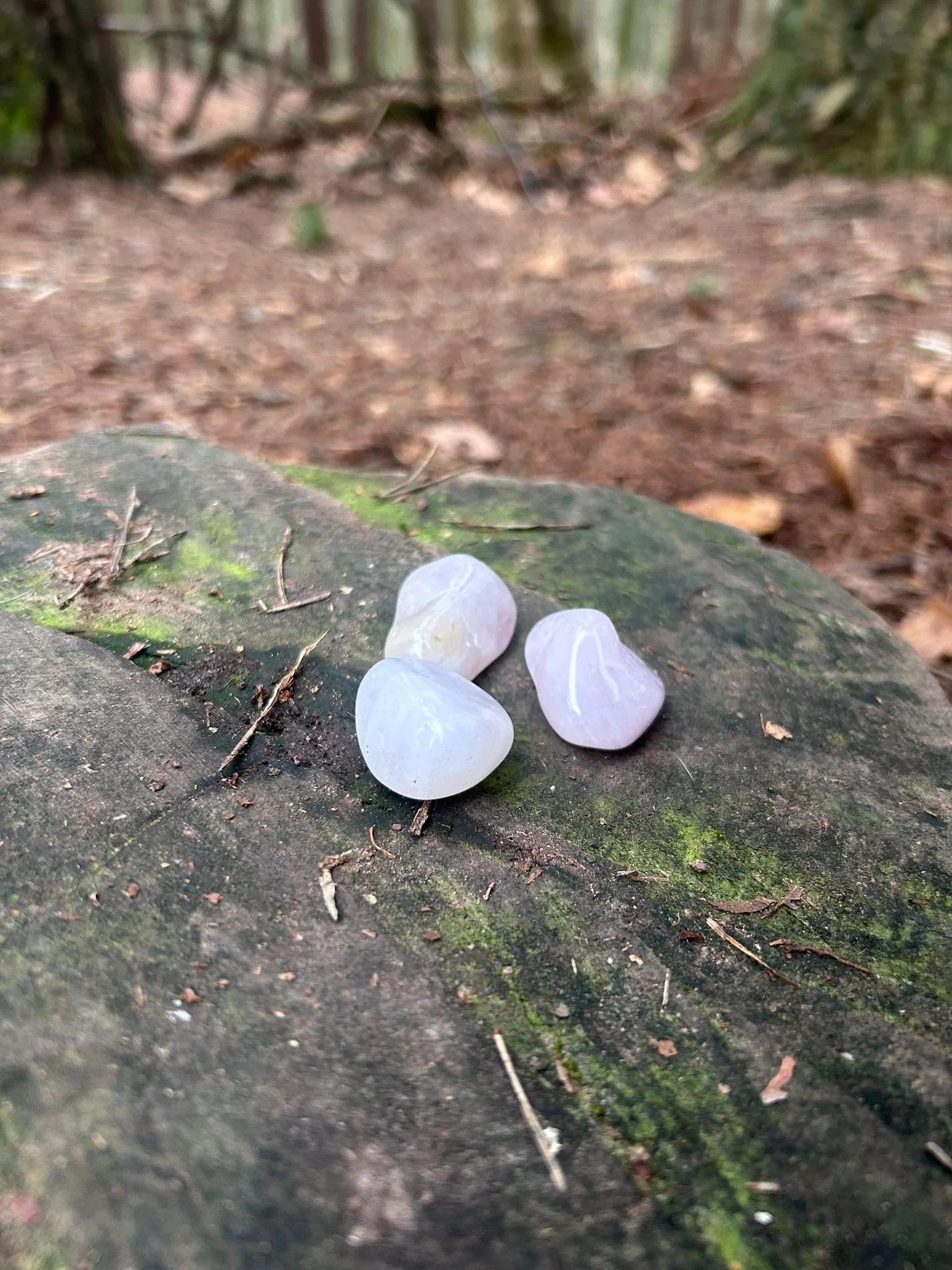 Rose Quartz Polished Tumblestone Healing Crystal