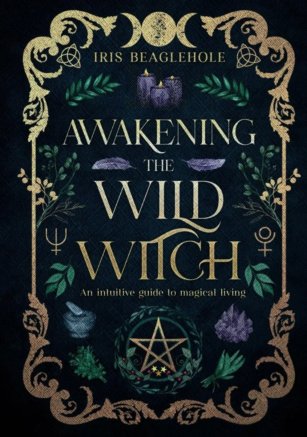 Awakening+the+Wild+Witch.jpg