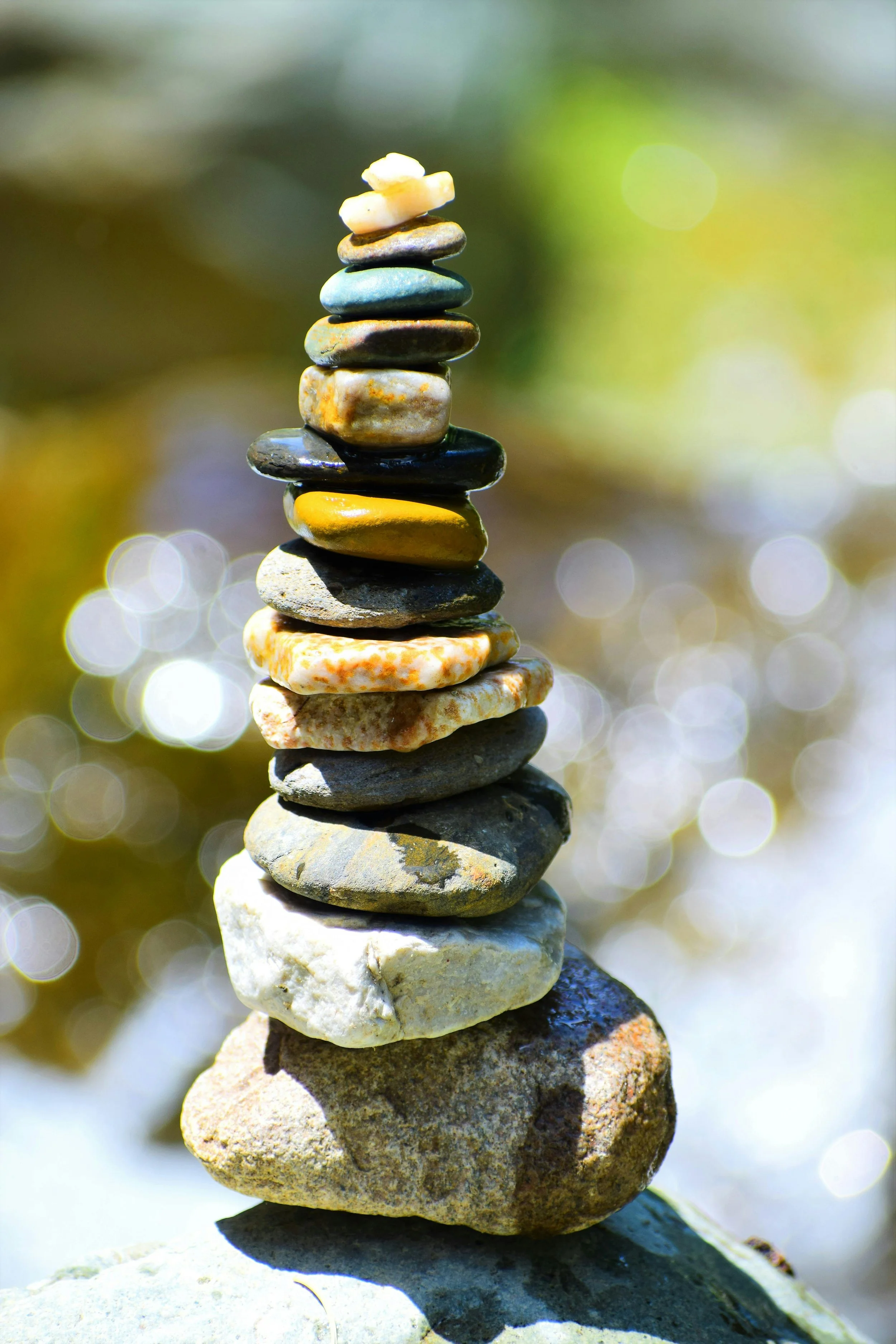 The Future of Hospitality Is Not Wellness — It Is Wellbeing: Redesigning Hospitality as a Living System