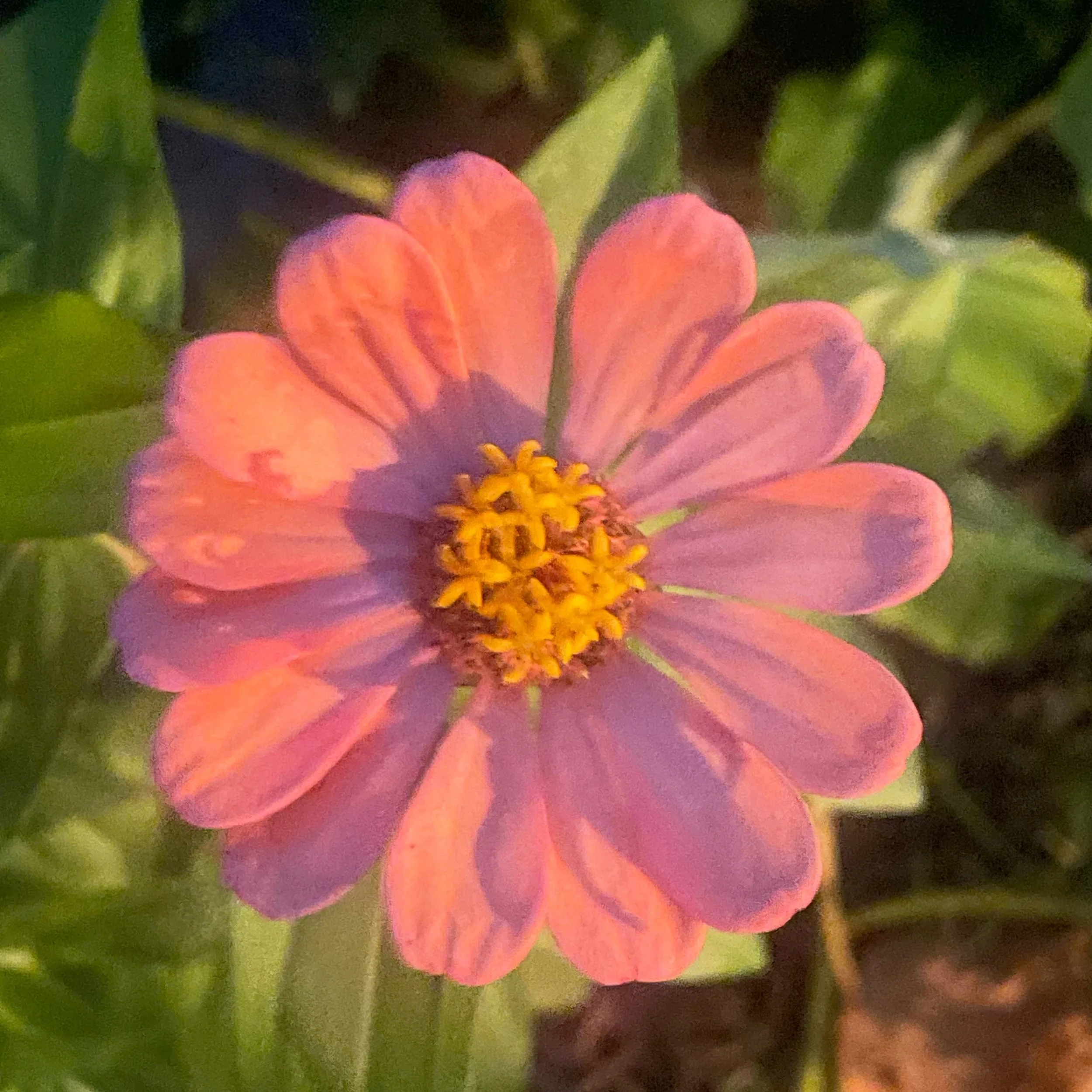 From Nature as a Setting to Nature as a Relationship