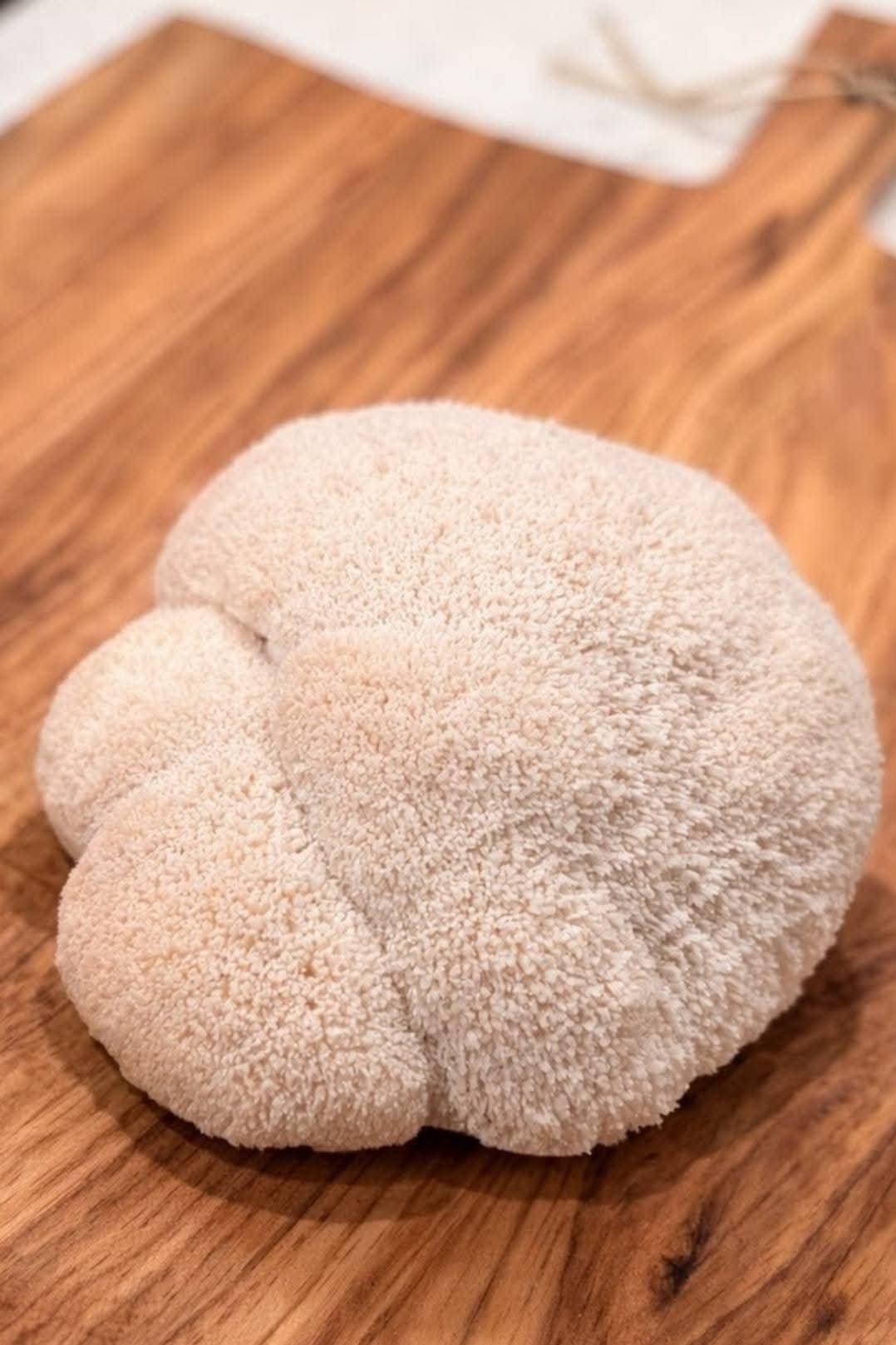 Golden Garlic Lion’s Mane Toast (10 Minute Recipe)