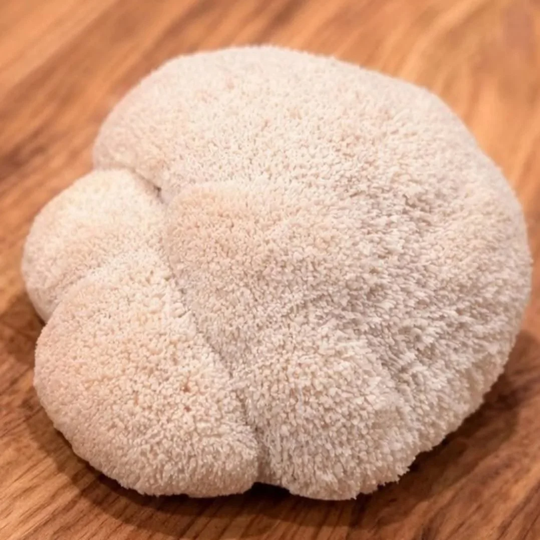 Fresh Lion’s Mane Mushrooms - approx. 100g