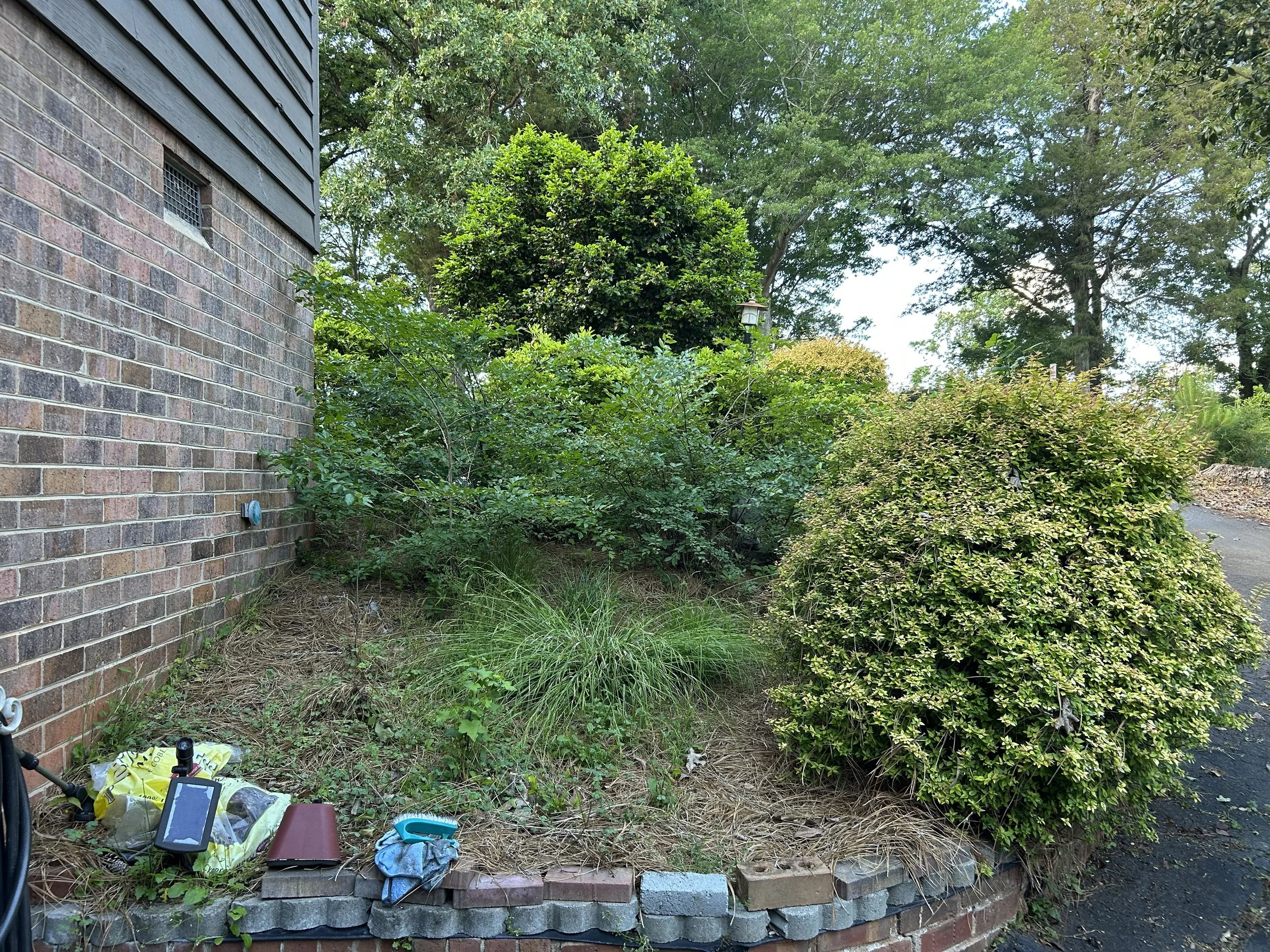 A small garden bed with various green shrubs and grass next to a brick house wall, with gardening tools and supplies on the ground, beside a paved path surrounded by trees.