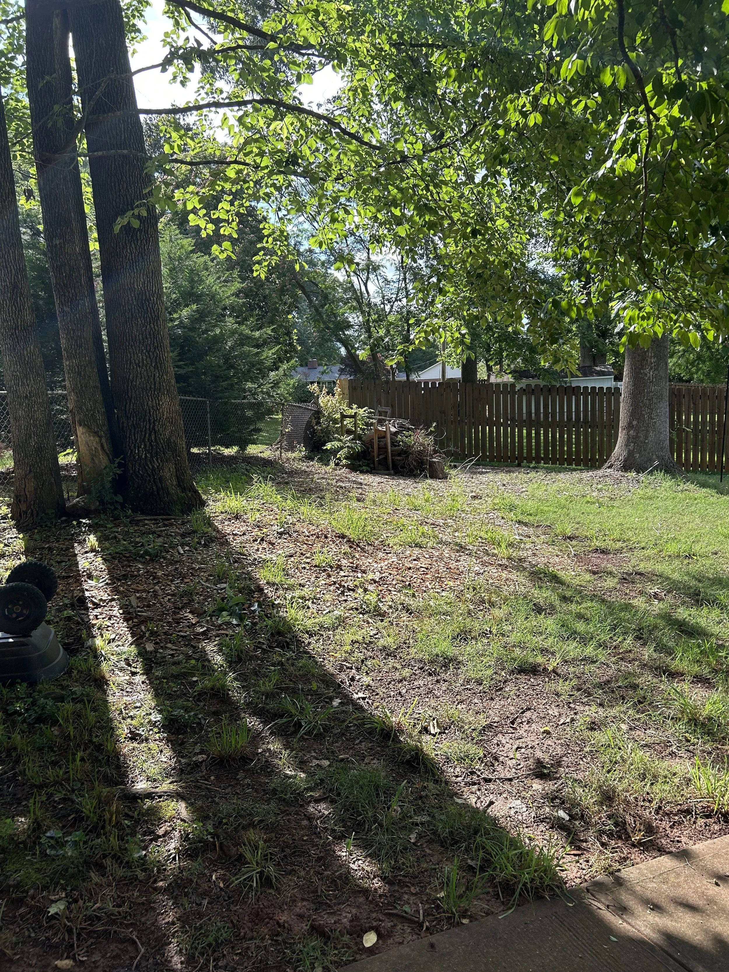 A backyard with trees, grass, and a wooden fence, with sunlight casting shadows on the ground.