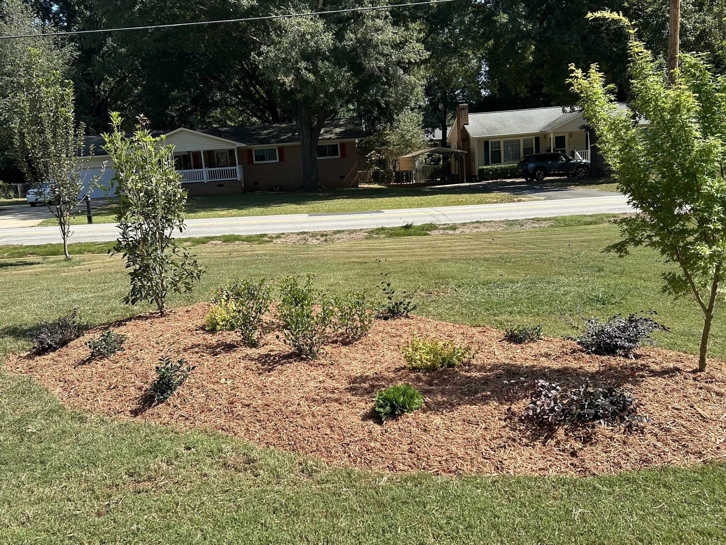 Well-maintained residential front yard with a flower bed featuring small bushes and young trees, grass lawn, and houses in the background across the street.