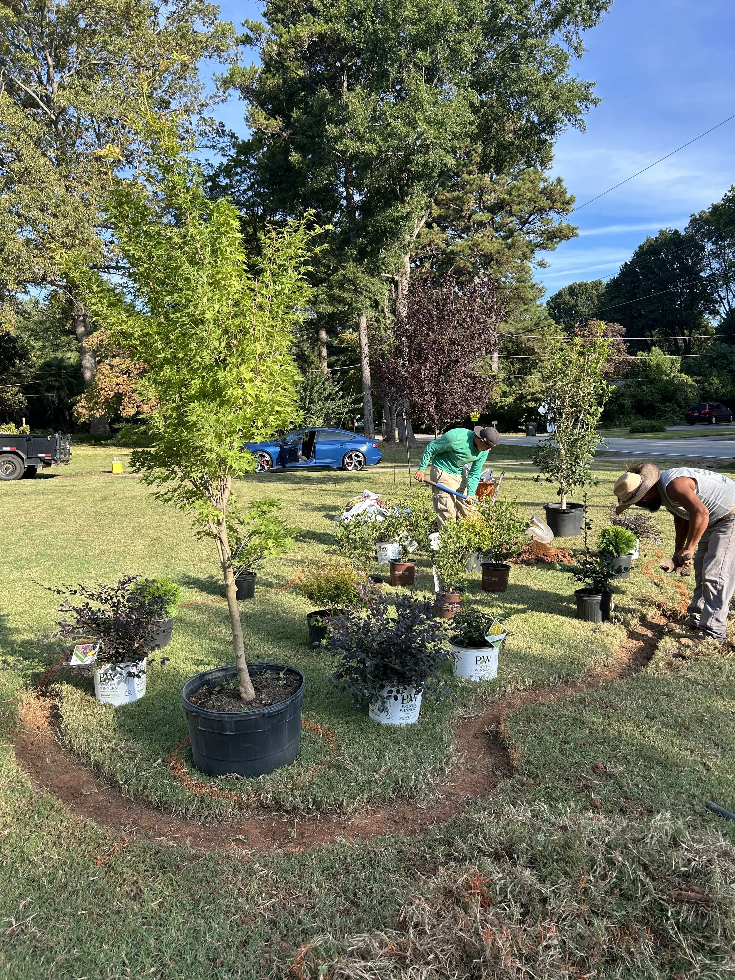 Two people planting trees and shrubs in a garden bed on a grassy area, with a blue car and trees in the background.