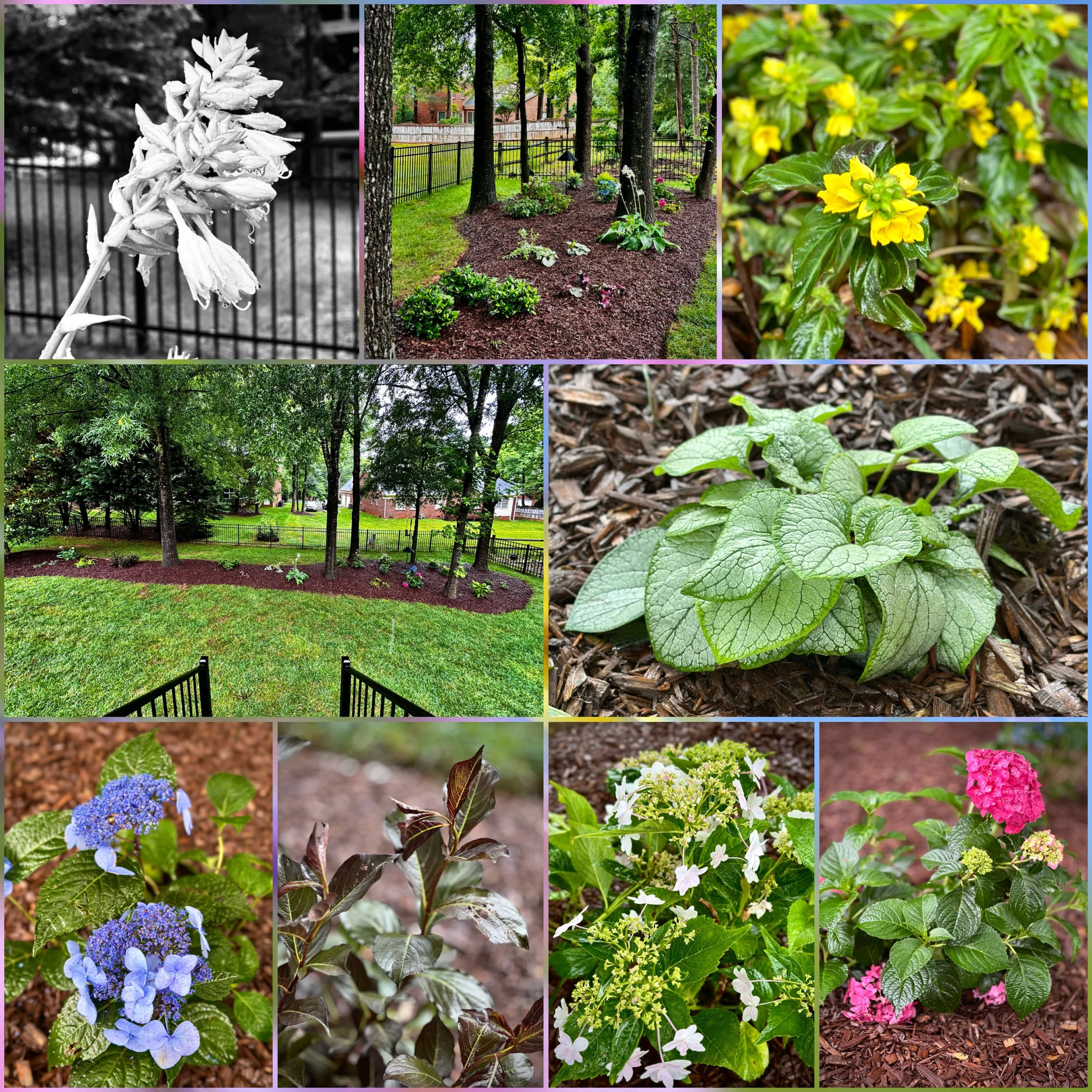 Park with flower garden, various blooming plants including yellow, purple, white, and pink flowers, and green trees.
