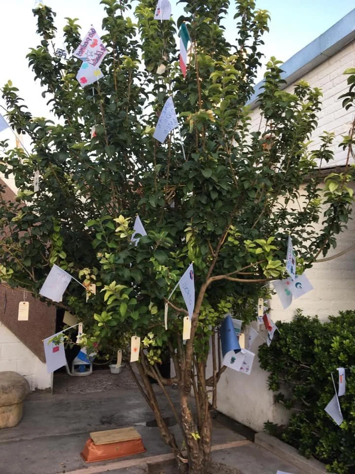 A tree with handmade flags in the branches