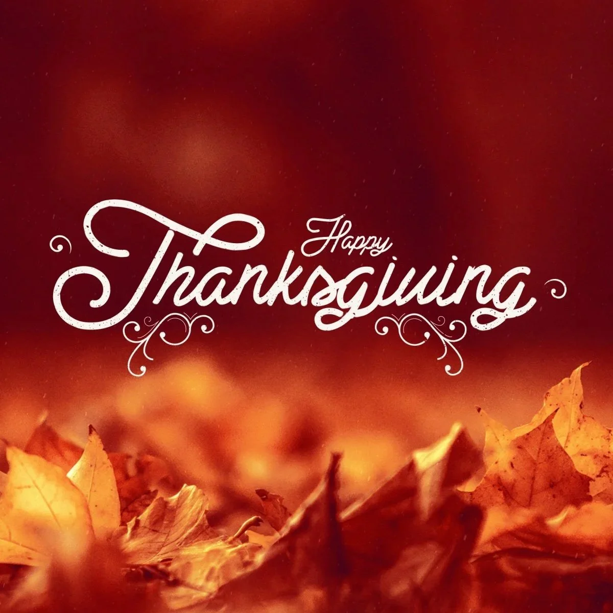 Thanksgiving Celebration