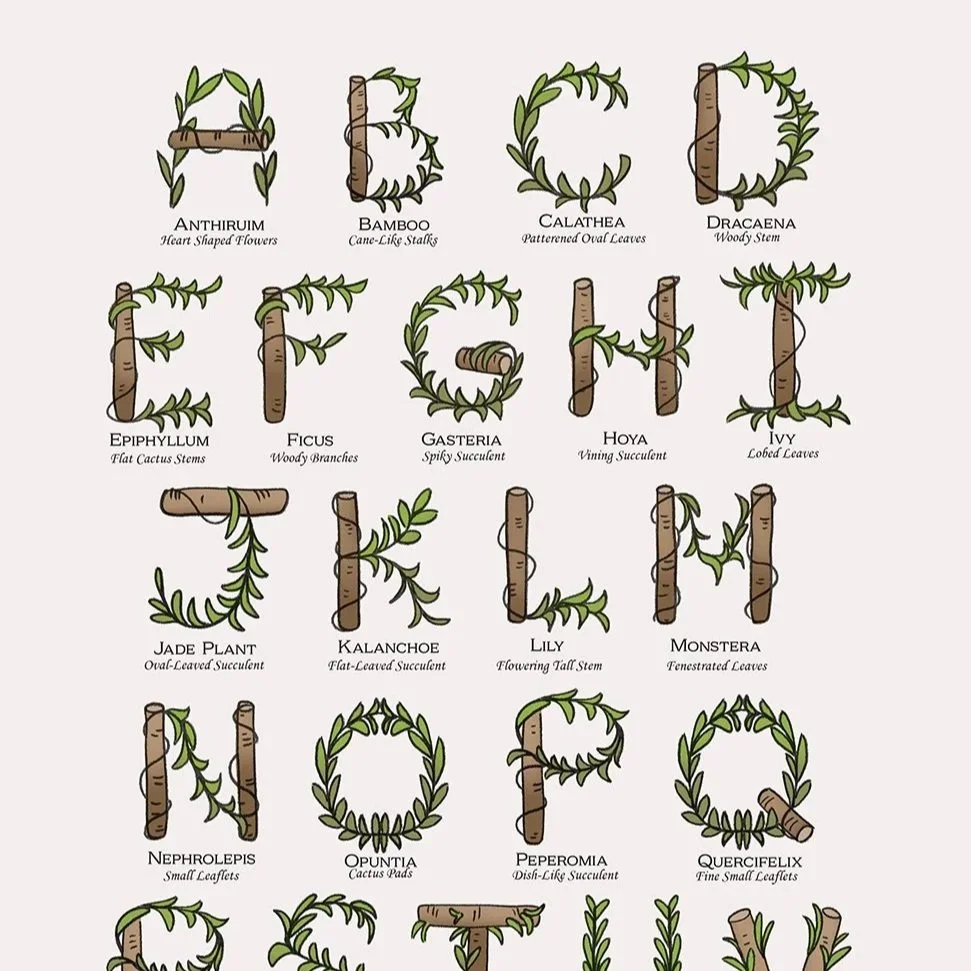 Alphabet