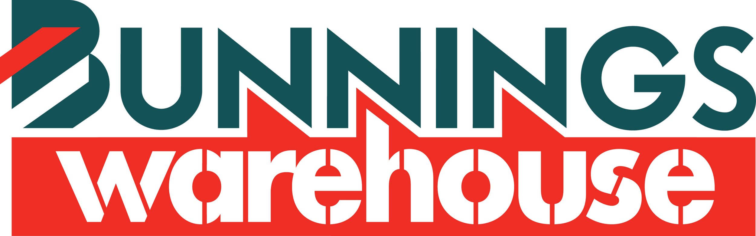 Bunnings Warehouse_Colour.png