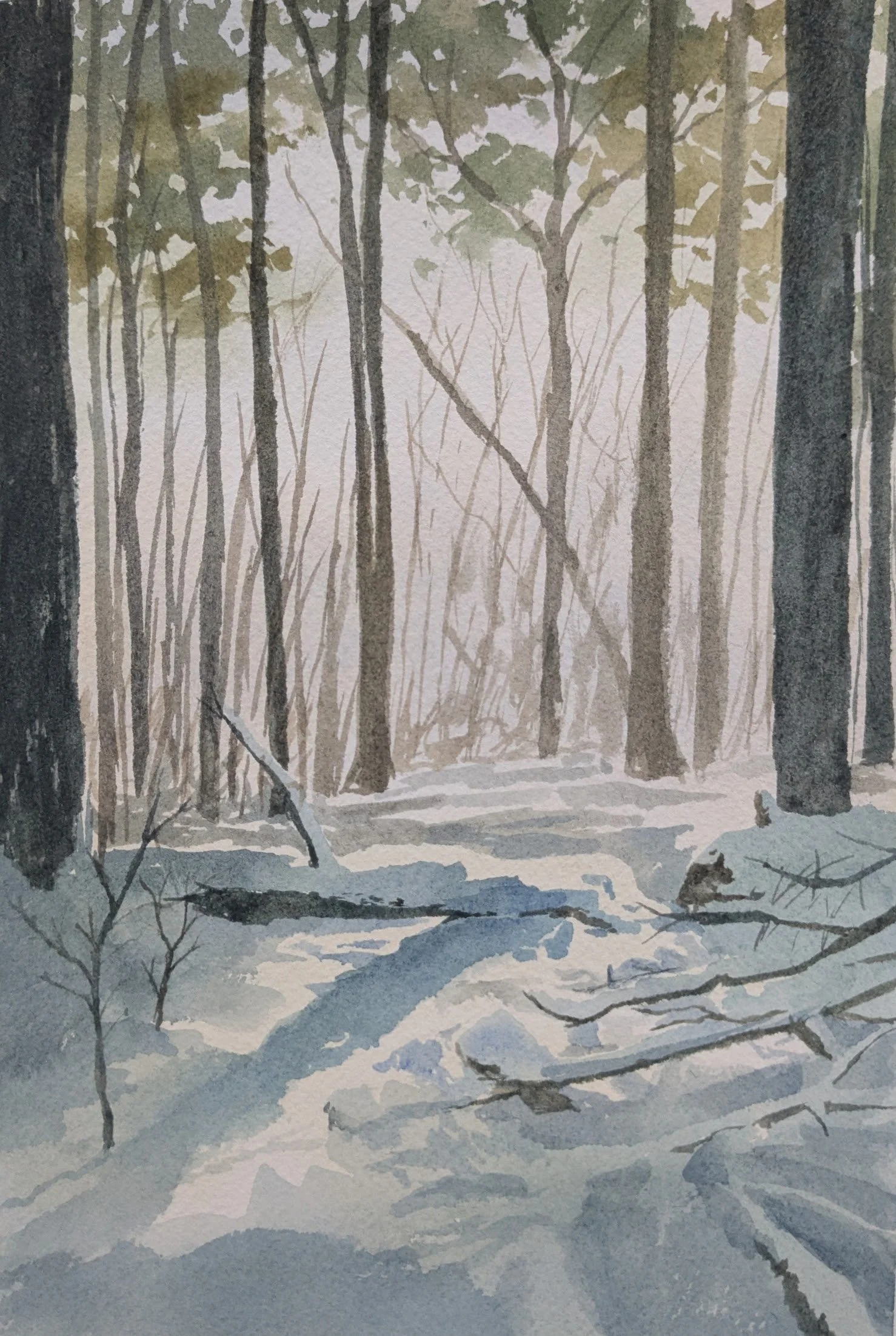 Sanctuary - Watercolor on Paper - 9" x 6" 2026