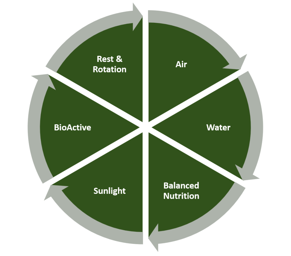 A circular diagram with sections labeled 'Air,' 'Water,' 'Balanced Nutrition,' 'Sunlight,' 'BioActive,' and 'Rest & Rotation,' connected by arrows, illustrating a cycle or holistic approach.