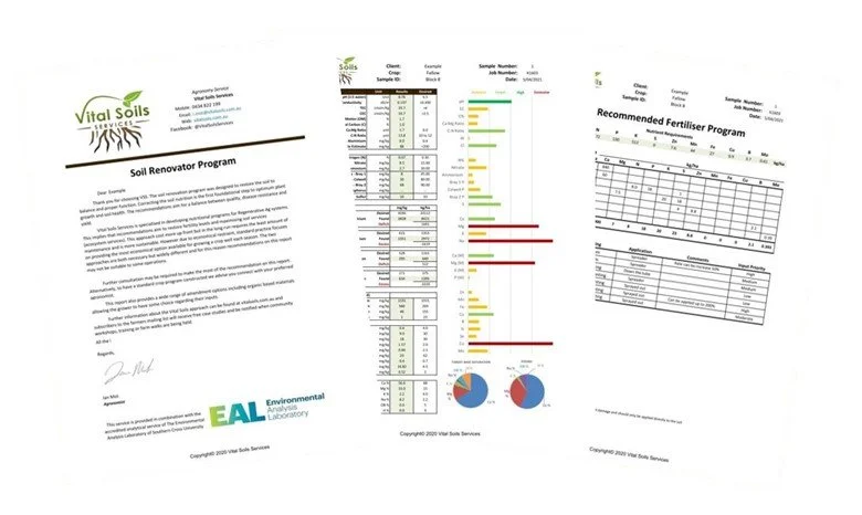 Soil Renovator (Comp Final).jpg