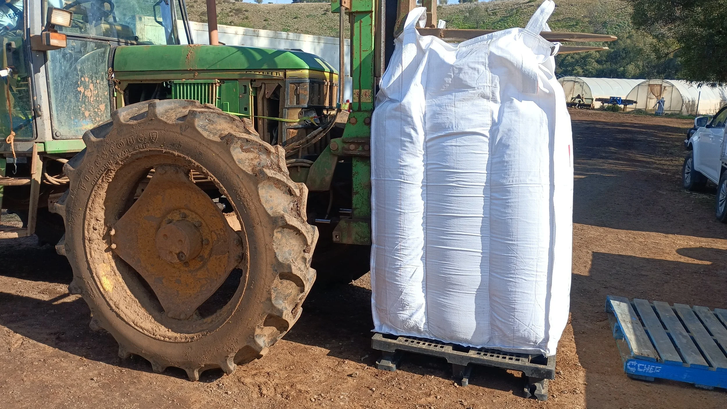 IMG_20250729_111257_887.jpg (Copy)