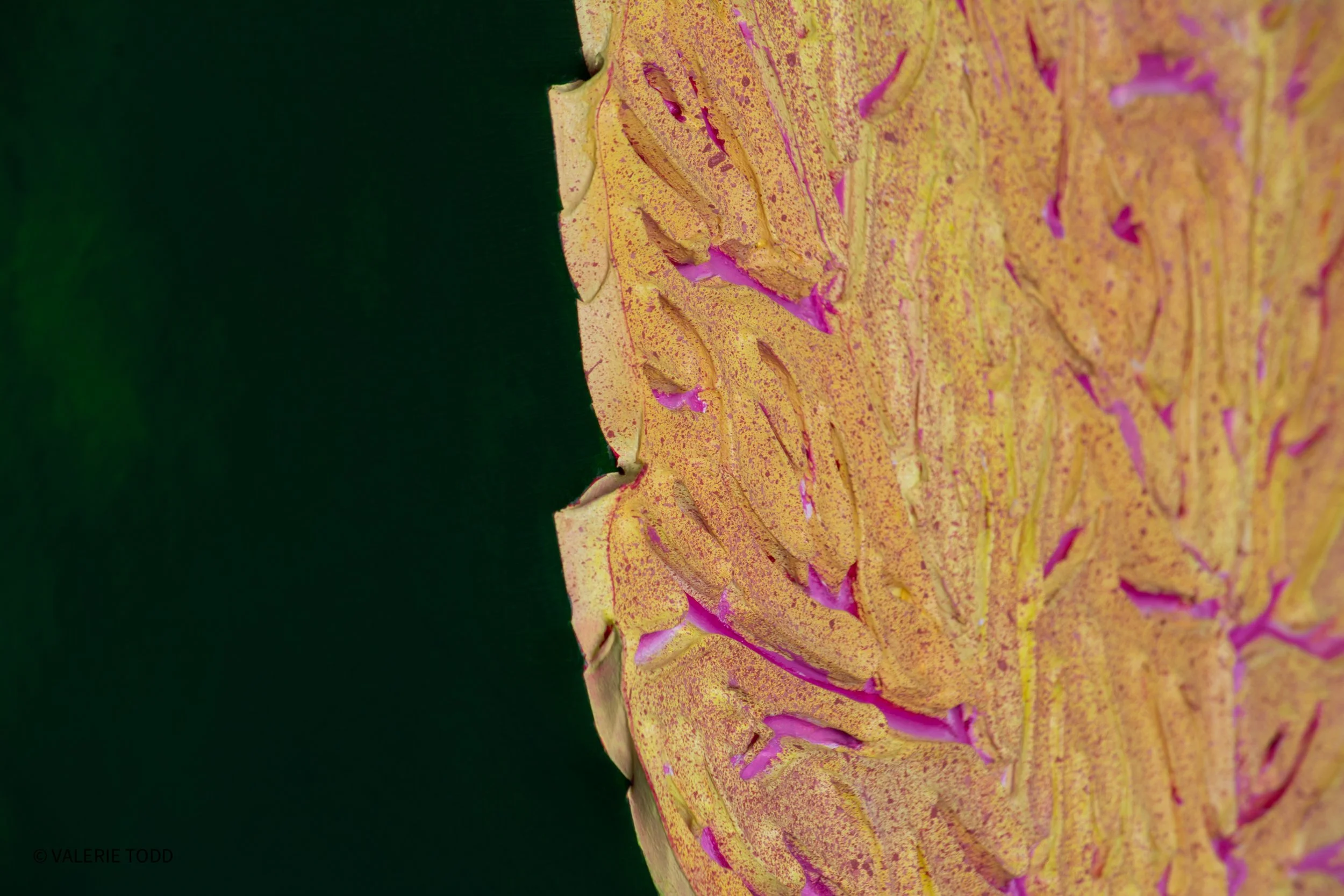 Close-up of a pineapple with a textured, spiky yellow and purple surface, positioned against a dark green background.