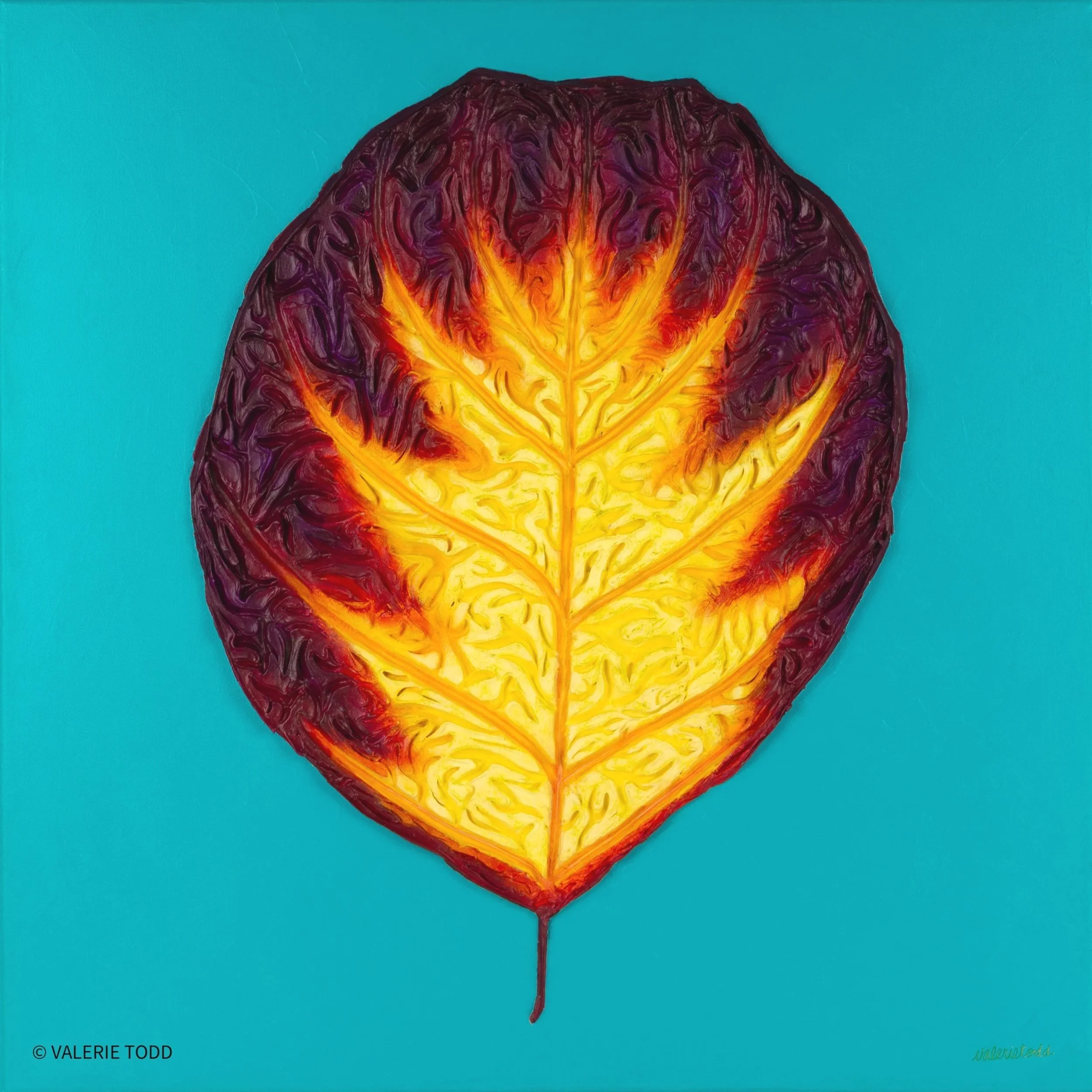 Mazzy's Leaf