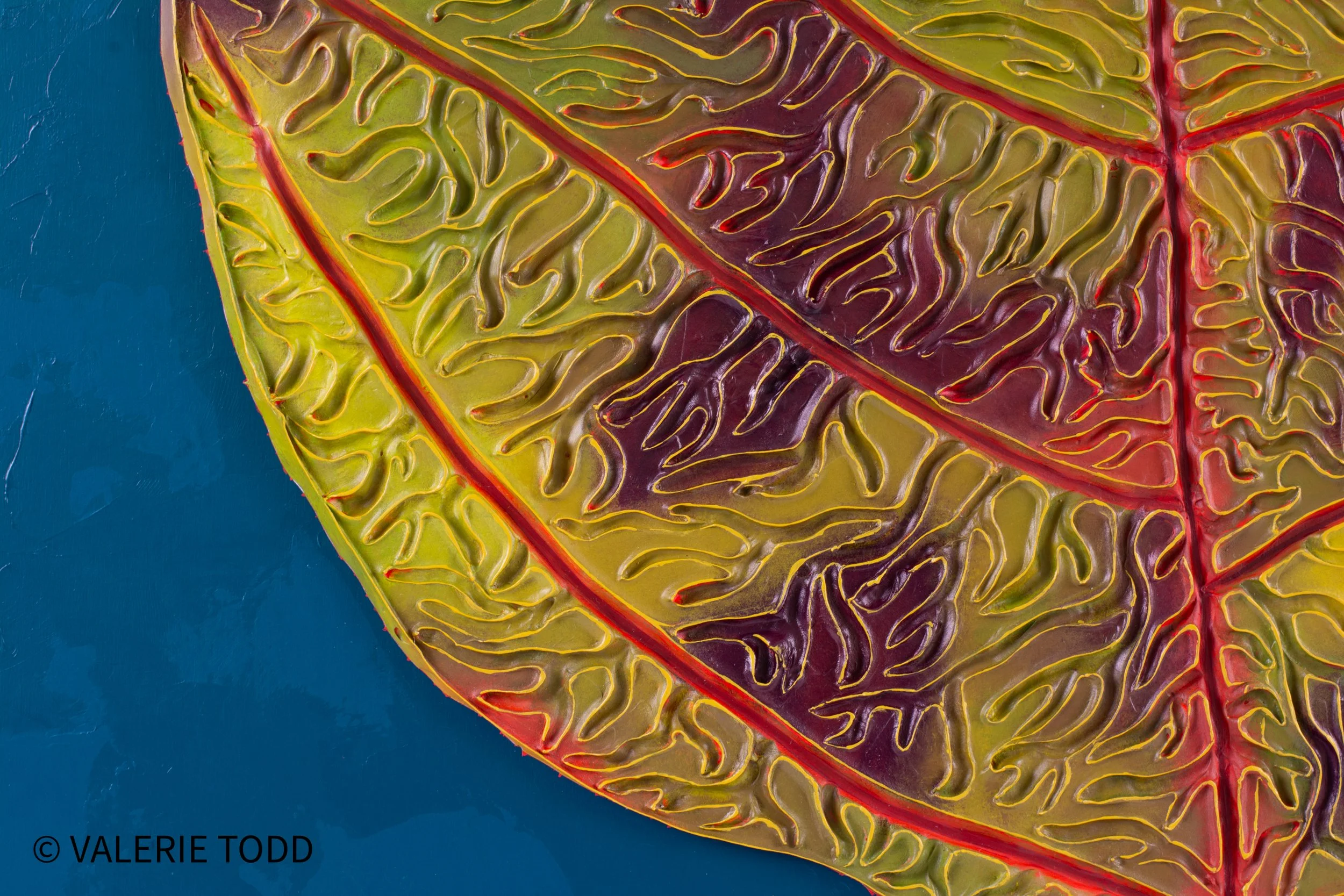 Close-up of a colorful leaf showing detailed red veins and green-yellow textured surface on a blue background.