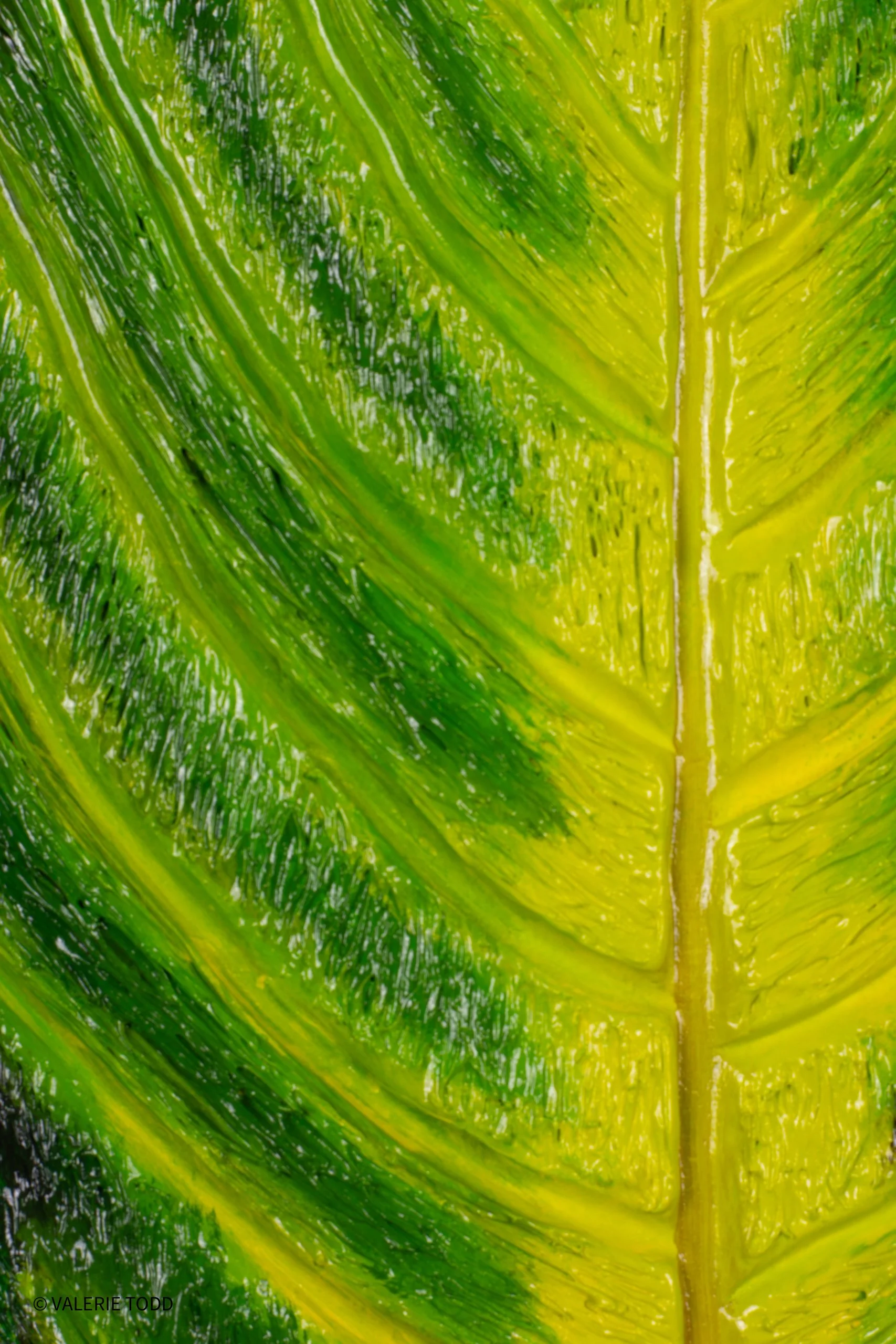 Close-up of a vibrant green leaf showing detailed veins and texture.