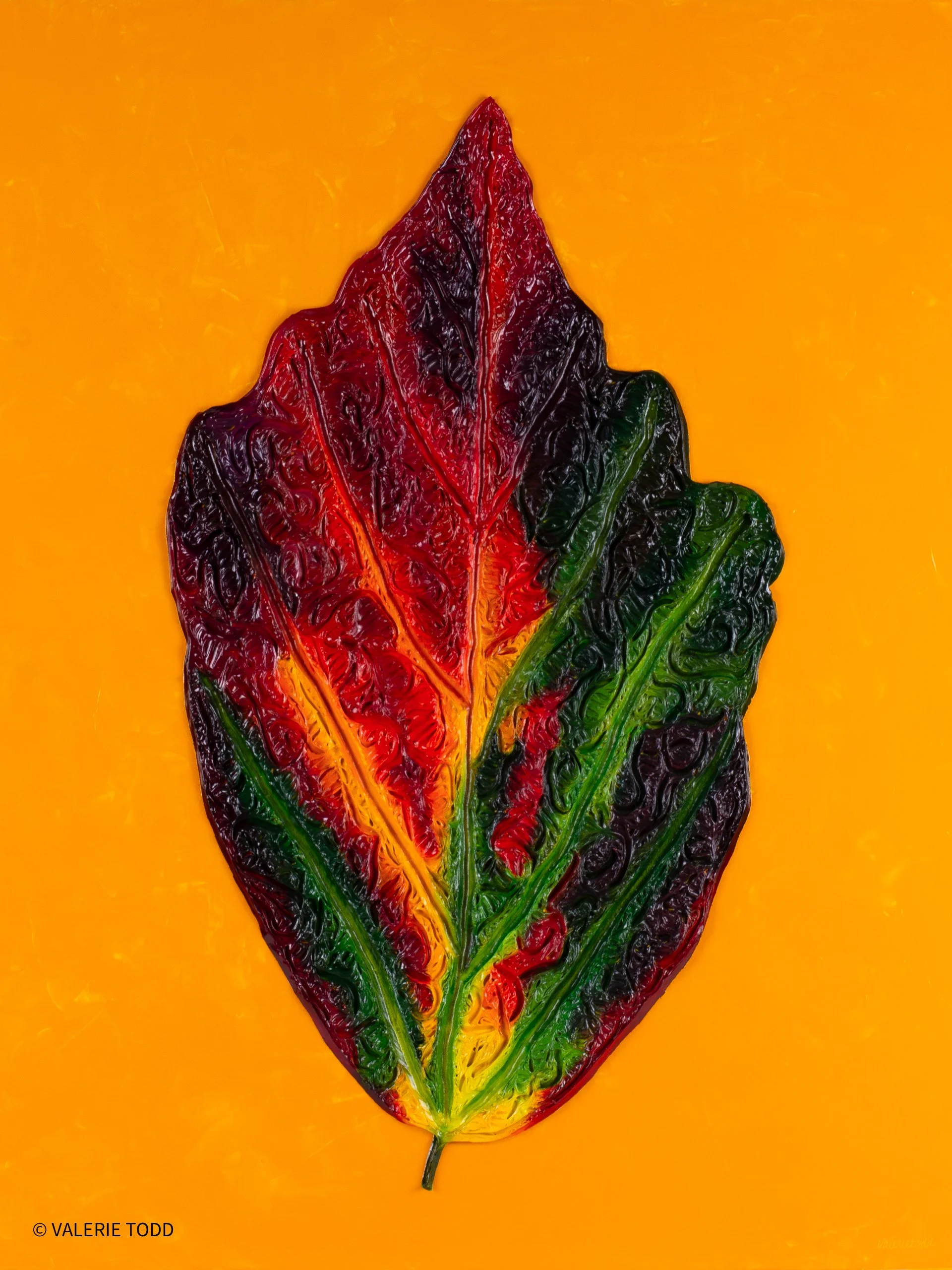 Rainbow Leaf
