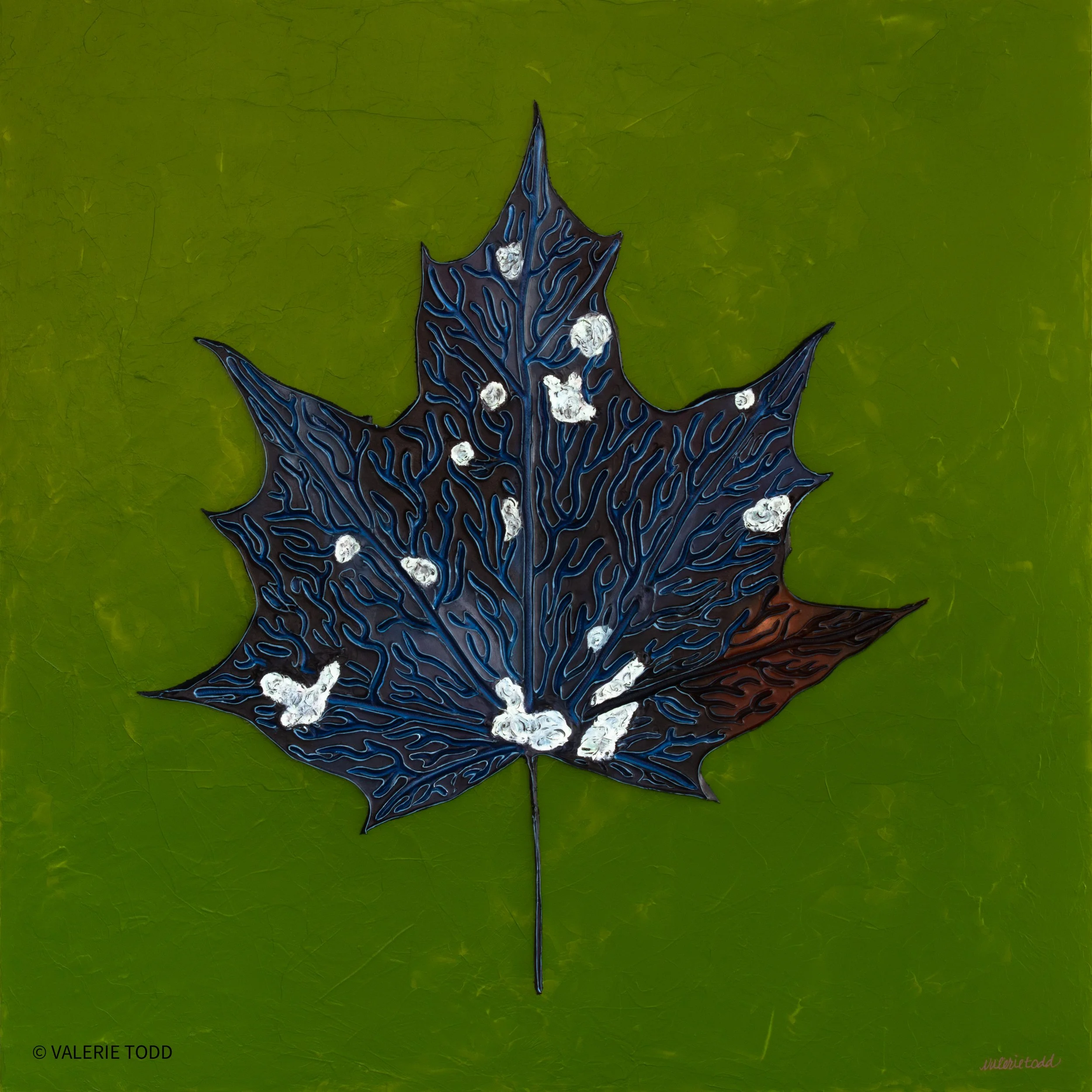 The Black Sheep Leaf